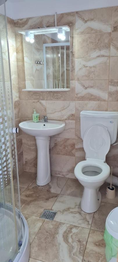 コスティネシュティCasa Bellevueアパートメント エクステリア 写真