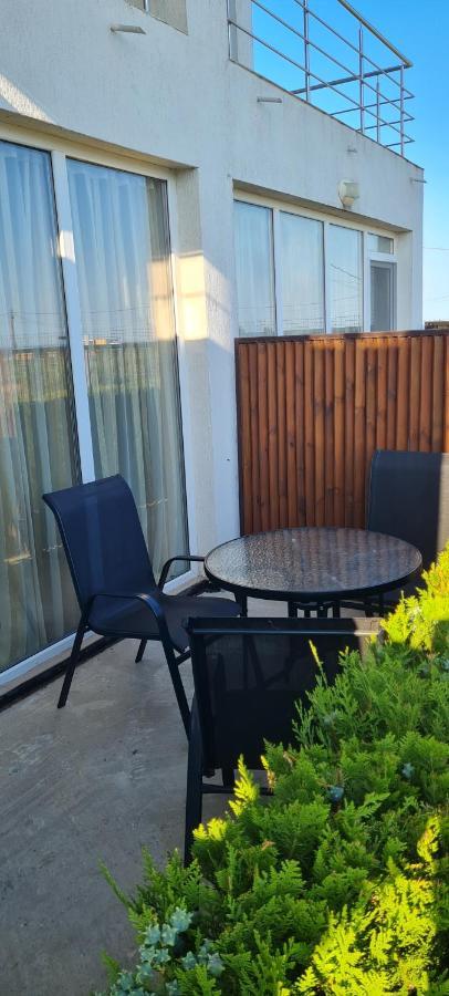コスティネシュティCasa Bellevueアパートメント エクステリア 写真